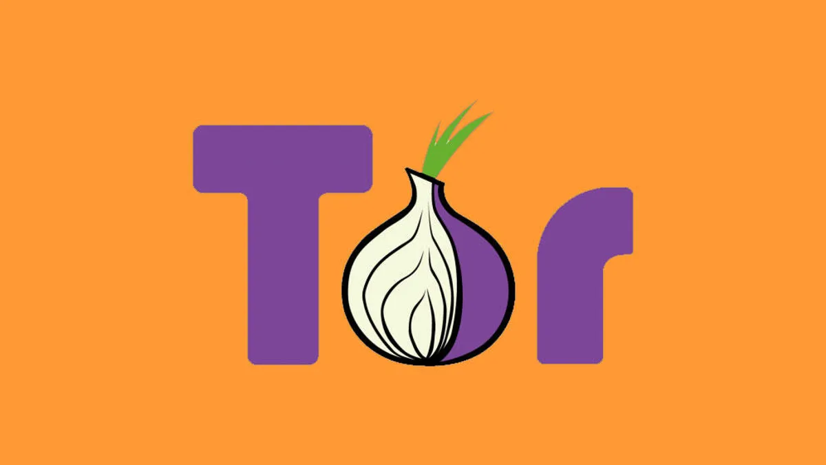 Schematic diagram of the Tor network showing relays and circuits